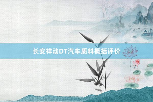 长安祥动DT汽车质料概括评价