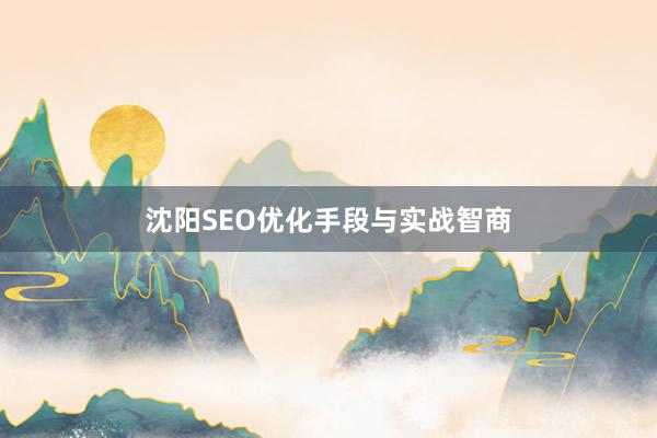 沈阳SEO优化手段与实战智商